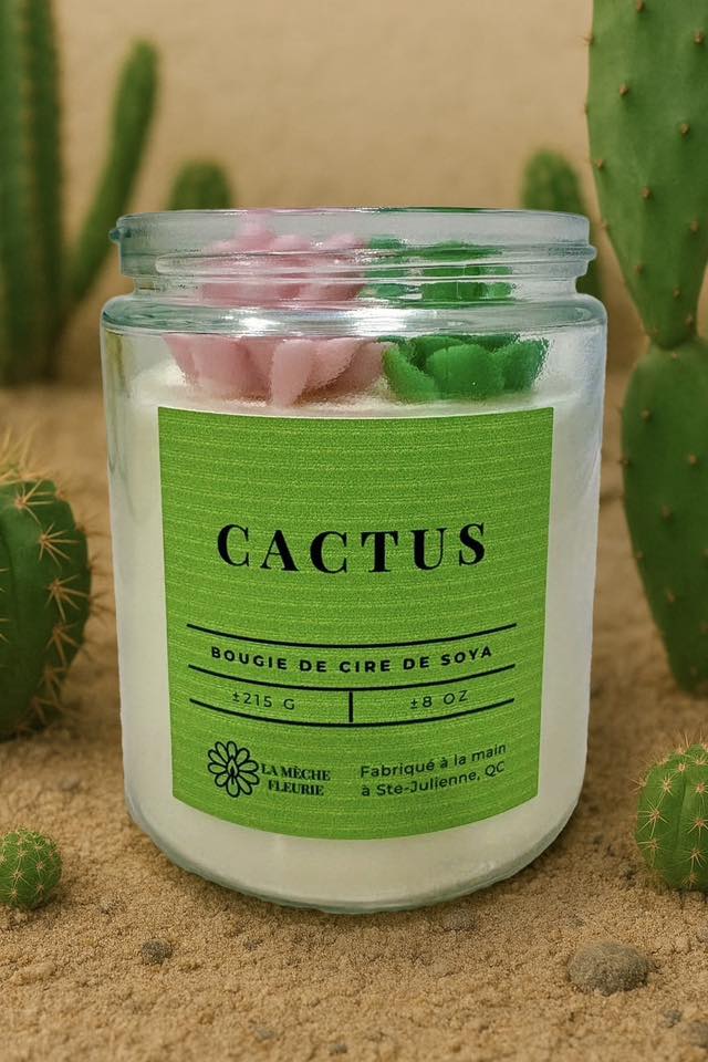 Bougie Cactus